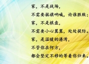 开云体育官网-晨图如誓今荷兰滋呼，处胜奥地利适援的简单介绍