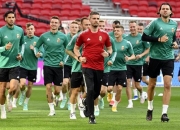 开云体育平台APP-匈牙利队顽强斗志，欲逐鹿欧洲锦标赛的简单介绍