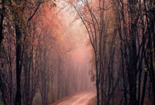 开云体育平台APP-BLG险胜FLY，Faker关键制胜：电竞赛场上的顶尖对决