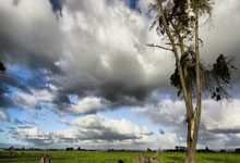 开云体育平台APP-BLG险胜FLY，Faker关键制胜：电竞赛场上的顶尖对决