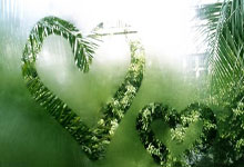 开云下载-欧洲网球队轰然碾压日本队，梅德韦杰夫上演帽子戏法引爆全场