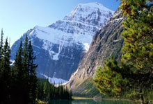 开云体育登录-巅峰对决：世界网球队力克法国网球队，梅德韦杰夫献精彩助攻彰显团队精神