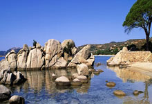 开云体育平台APP-BLG险胜FLY，Faker关键制胜：电竞赛场上的顶尖对决