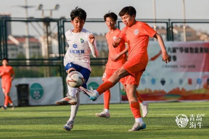 青岛海牛队员艰苦训练,向冠军进军的简单介绍 青岛海牛队员艰苦训练,向冠军进军的简单介绍