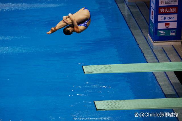 关于跳水项目冠军再次展现高超技艺的信息