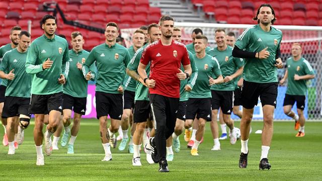 匈牙利队顽强斗志，欲逐鹿欧洲锦标赛的简单介绍