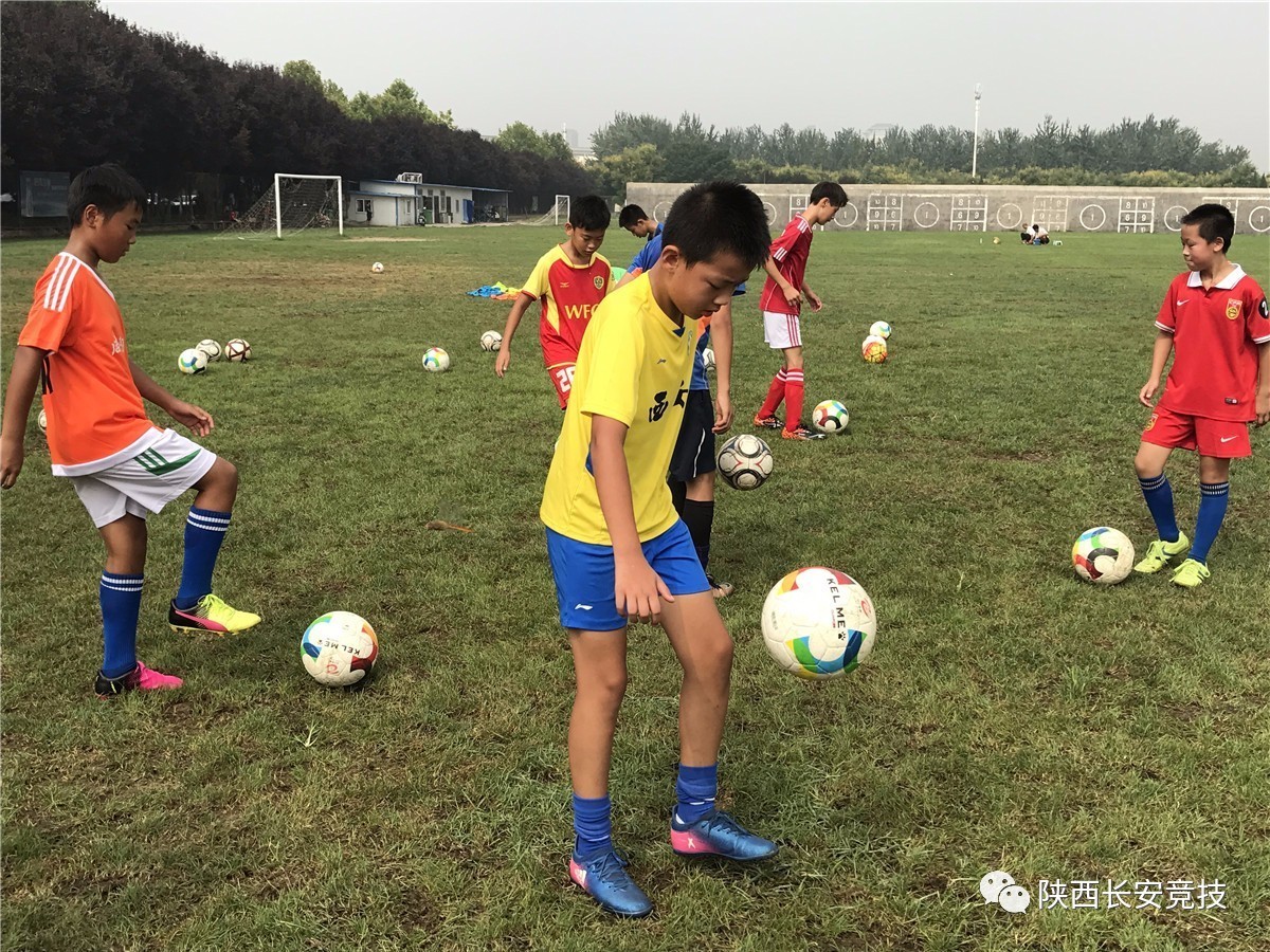 狼队球员逐渐适应比赛强度，希望继续保持胜利