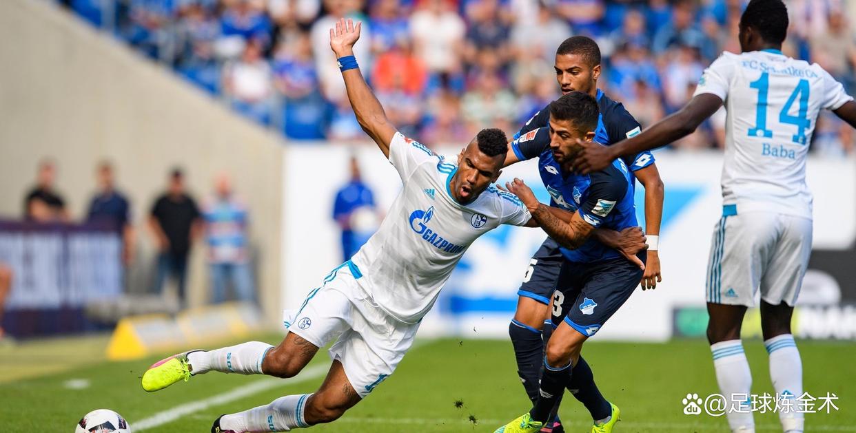 霍芬海姆再临失利,保级形势日益严峻 霍芬海姆再临失利,保级形势日益严峻