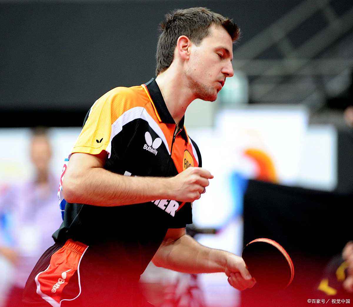 中国乒乓球队血洗波兰乒乓球队，波尔惊艳世界的简单介绍