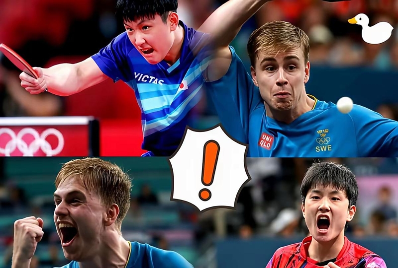 法国队轻取日本队，张本智和统治全场